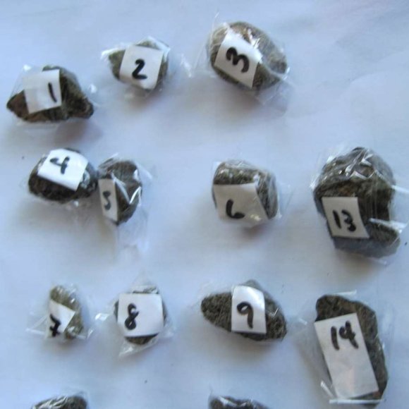 Costa Rican Hot Spring Volcanic Rocks Costa Rica Jungle Volcano Choose Variation - Picture 16 of 16